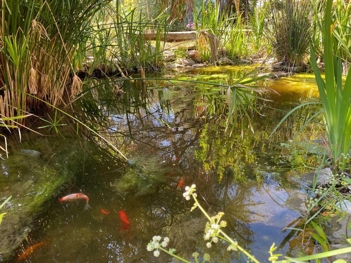 El Canto De Las Ranas Villa Barbate Eksteriør bilde